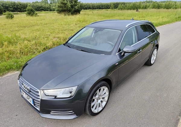 Audi A4 cena 68900 przebieg: 188495, rok produkcji 2016 z Kłodawa małe 781